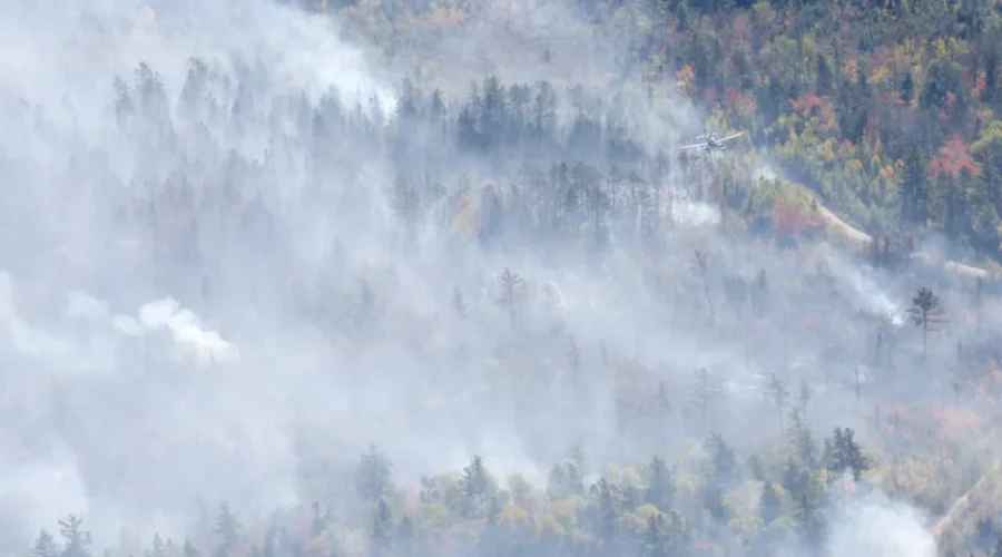 Wildfire in Antigonish Co. being held: DNR