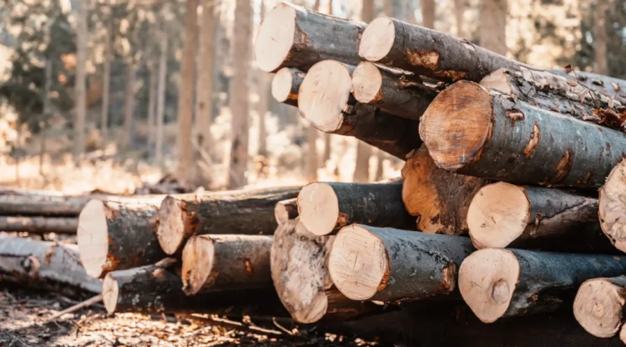 New support for N.S. businesses affected by tariffs in steel, lumber sectors