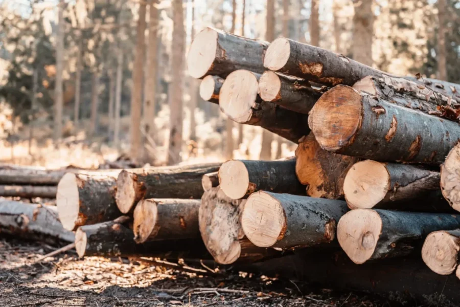 New support for N.S. businesses affected by tariffs in steel, lumber sectors
