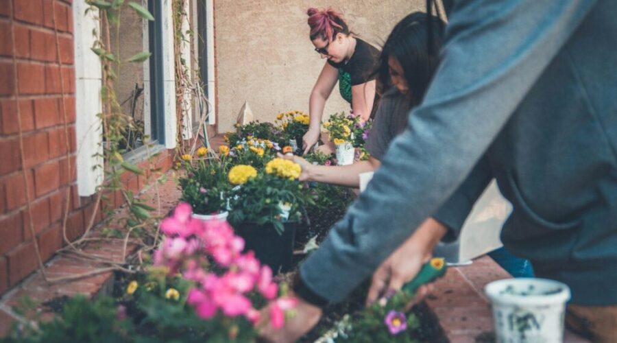 What’s Happening in the Quad Counties | May 22–25