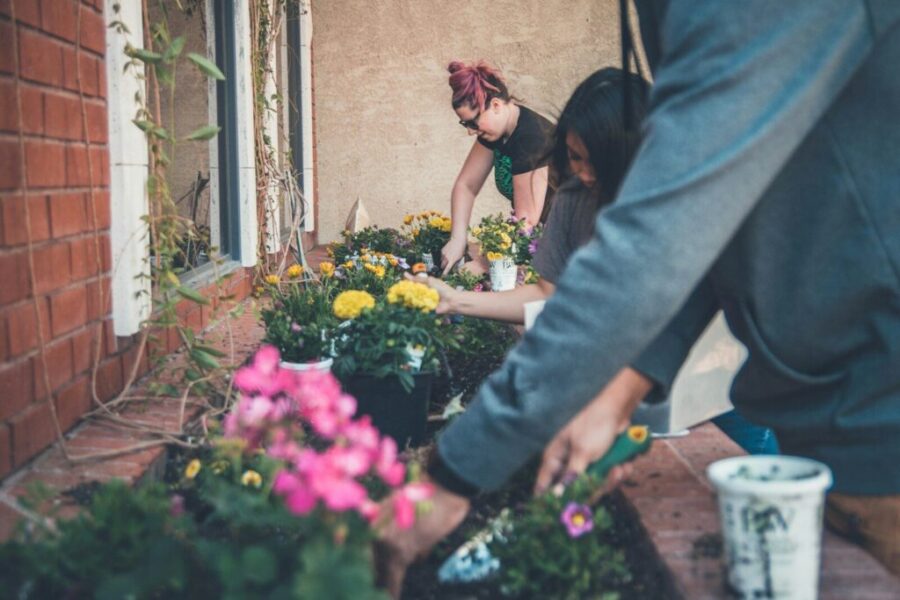 What’s Happening in the Quad Counties | May 22–25