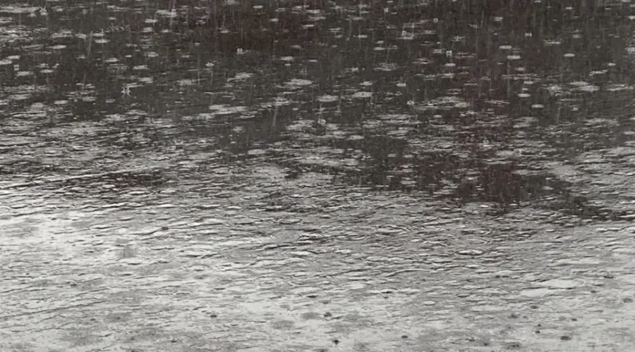 Rain and wind expected for Cape Breton and Eastern Shore