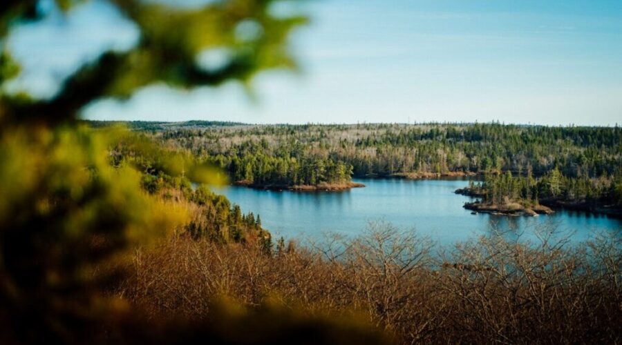 New nature reserve announced for Digby County