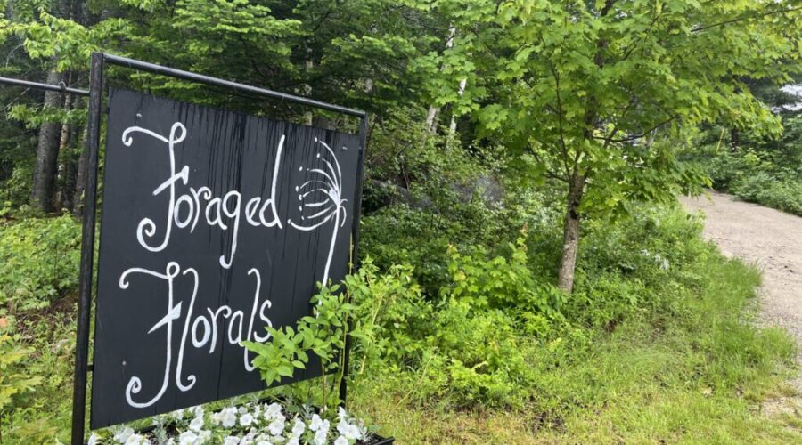 New Ross flower farm and wedding venue featured in New York Times