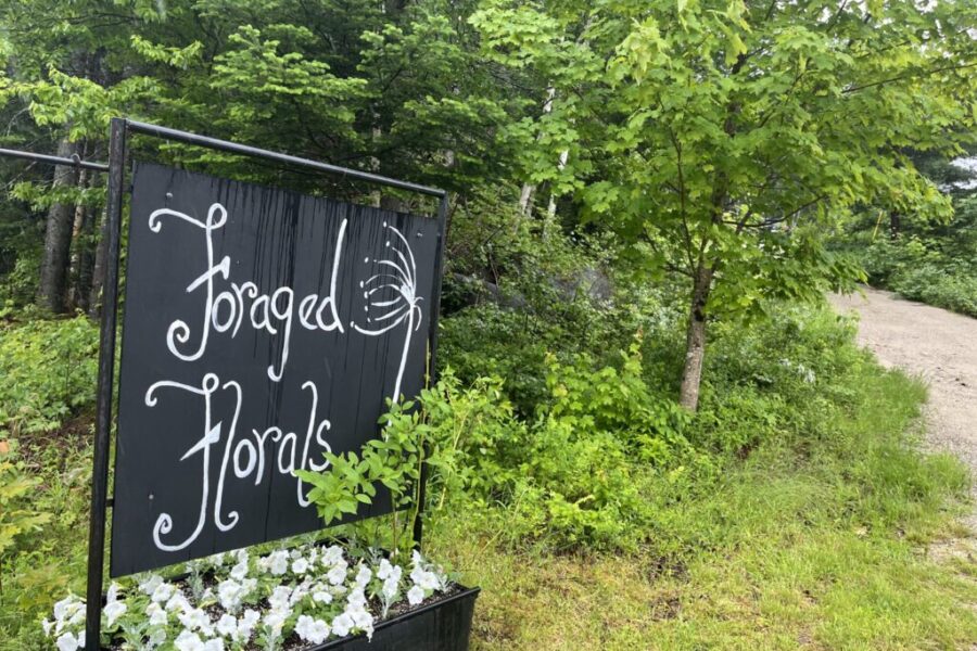New Ross flower farm and wedding venue featured in New York Times