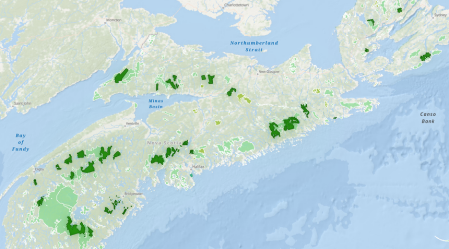N.S. government not on track to meet 2030 conservation target, advocates warn
