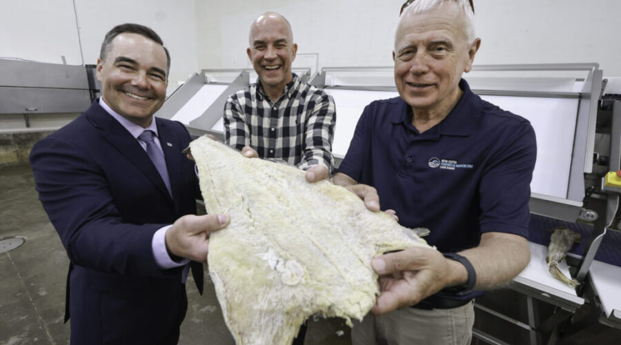 Nova Scotia launches new seafood strategy