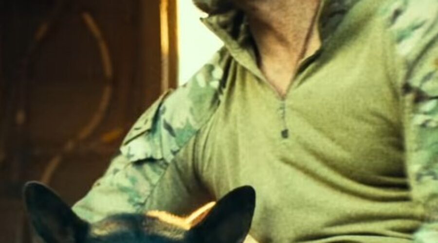 Trailer for Brad Pitt and Dog movie