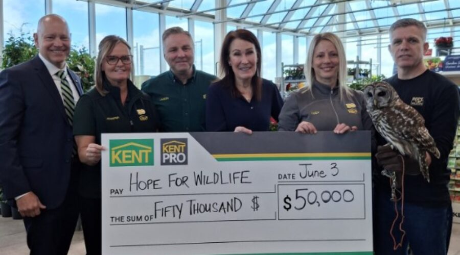 Hope for Wildlife wins $50K through KENT contest