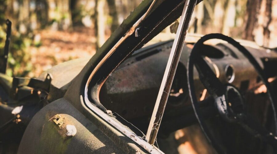 From driveway to forest: The strange afterlife of cars in Nova Scotia