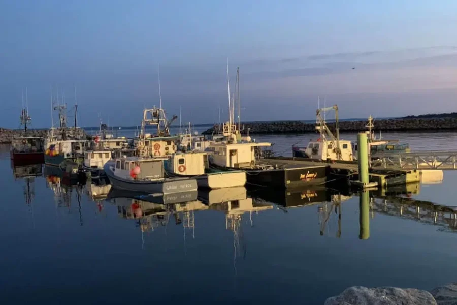 New classroom program introduces students to Nova Scotia’s seafood industry