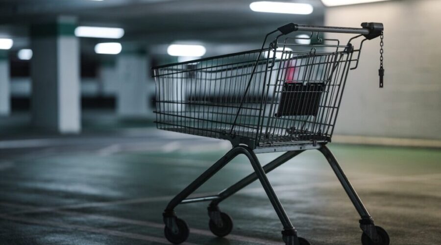 Woman, 31, arrested after theft, shopping cart assault