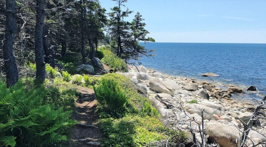 Funding announced for trail upgrades in Guysborough–Tracadie area