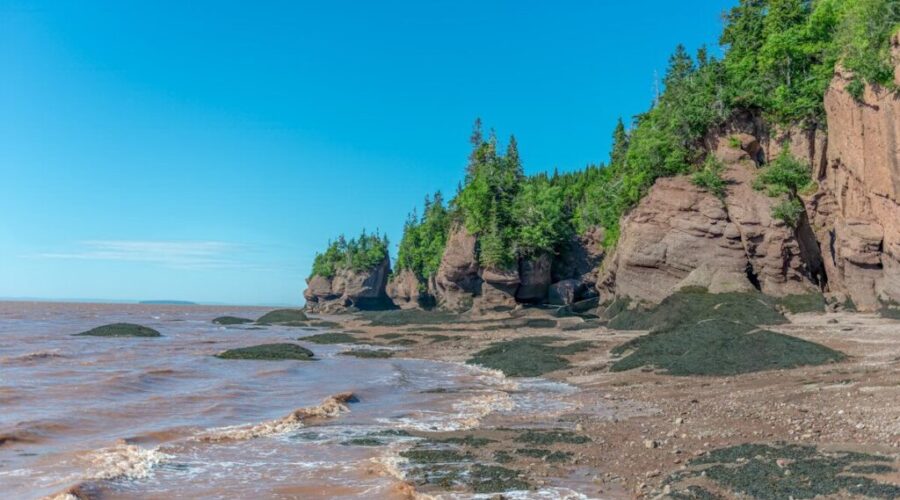 RCMP, CAF work together to remove old explosive washed ashore in Portapique
