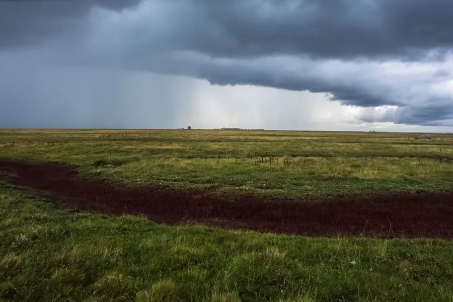 Severe thunderstorm warnings across province