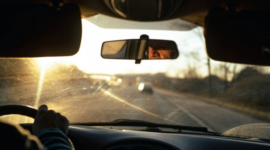 Bugs Covering Your Windshield? Try These 3 DIY Fixes