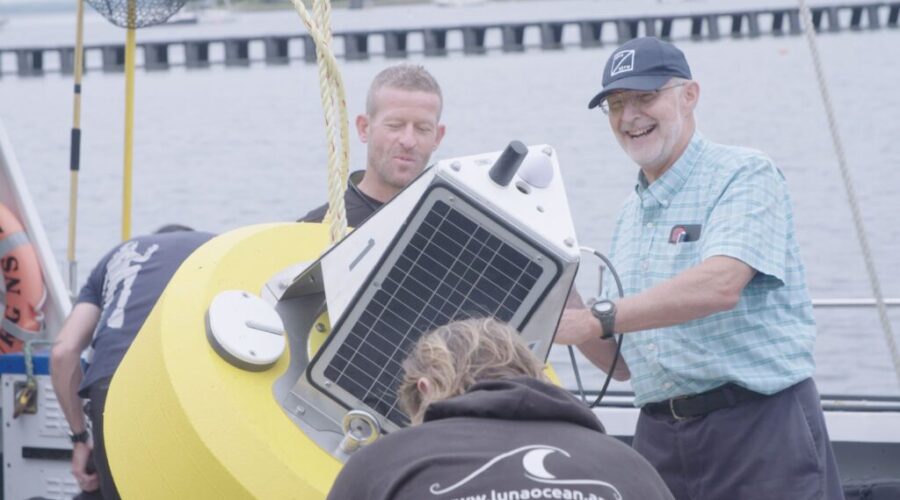 New Shark Week Documentary Explores Nova Scotia’s Great White Highway