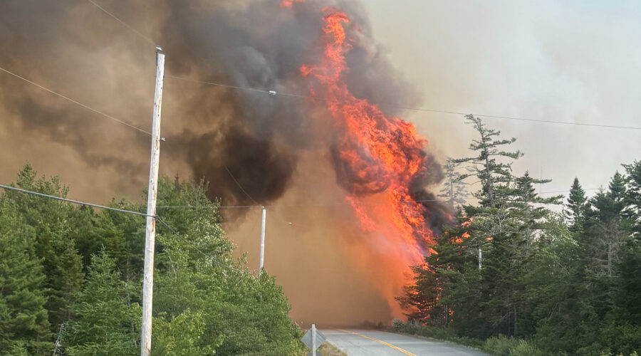 Mooseland Road wildfire under control: DNR