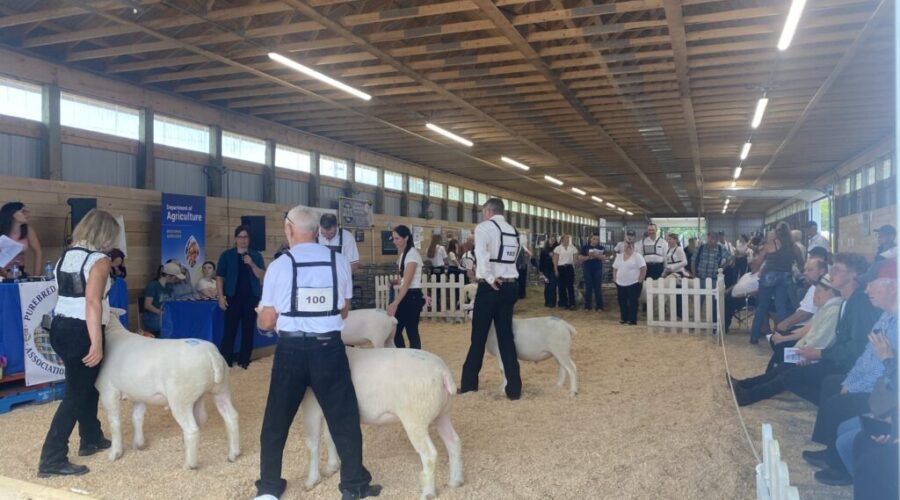 $200K provincial funding to help restore historic Pictou Exhibition Grounds