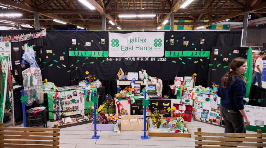 4-H Project Features: Life Skills & Livestock