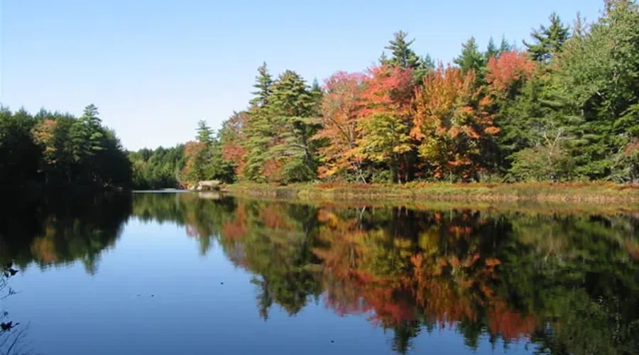 EAC: ‘Very strong’ majority of Nova Scotians support protected areas