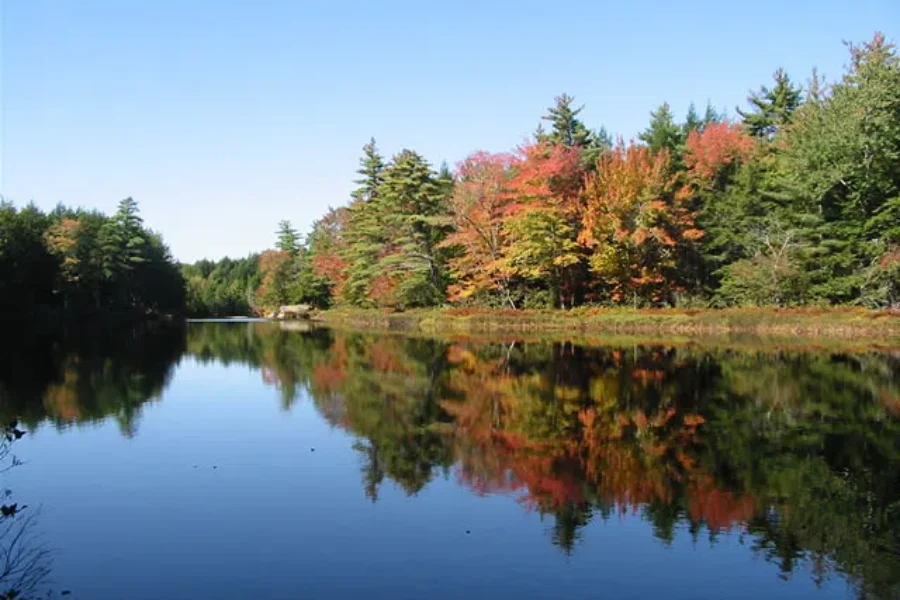 EAC: ‘Very strong’ majority of Nova Scotians support protected areas