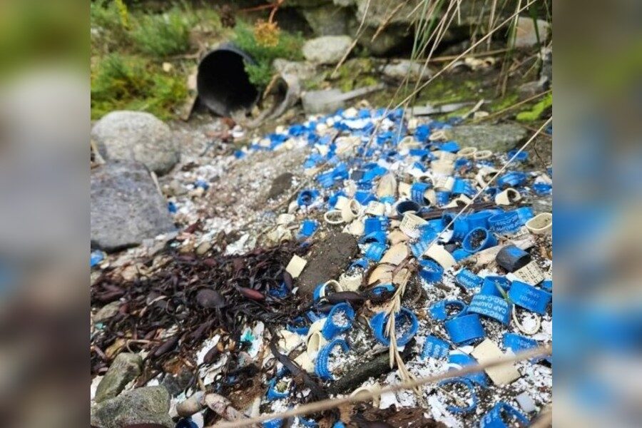 Increased fines after thousands more elastic lobster bands end up on shorelines
